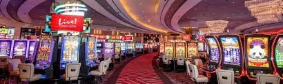 Filipino player opening bet bingo on a mobile browser without downloading an app